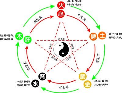 桐 五行|桐字五行属什么